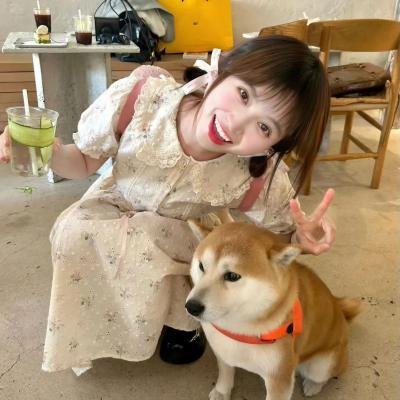 飞天小女警第五季高清封面